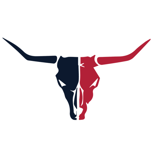 Houston Texans Heavy Metal Logo iron on transfers